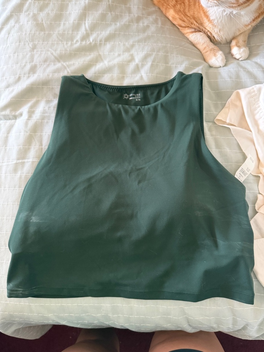 Aerie green workout top